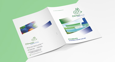pigment brochure design